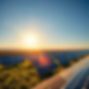 An illustration of a sunny landscape with solar panels in the foreground