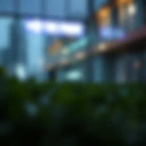 The Significance of Credit Reports Understanding credit importance