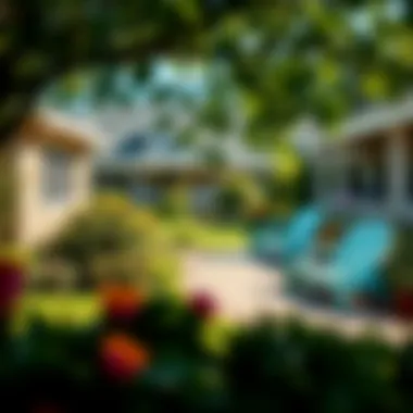 Serene Garden in Senior Living Community A serene garden area within a senior living community for relaxation