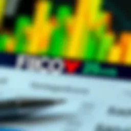 Visual representation of FICO and VantageScore metrics