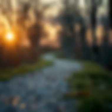 Journey to Recovery A pathway leading towards recovery and vigilance