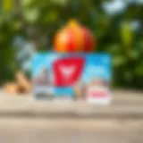 Showcasing the USAA Travel Card with travel destinations